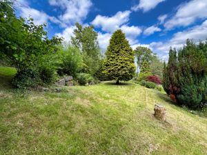 Photo 7- click for photo gallery